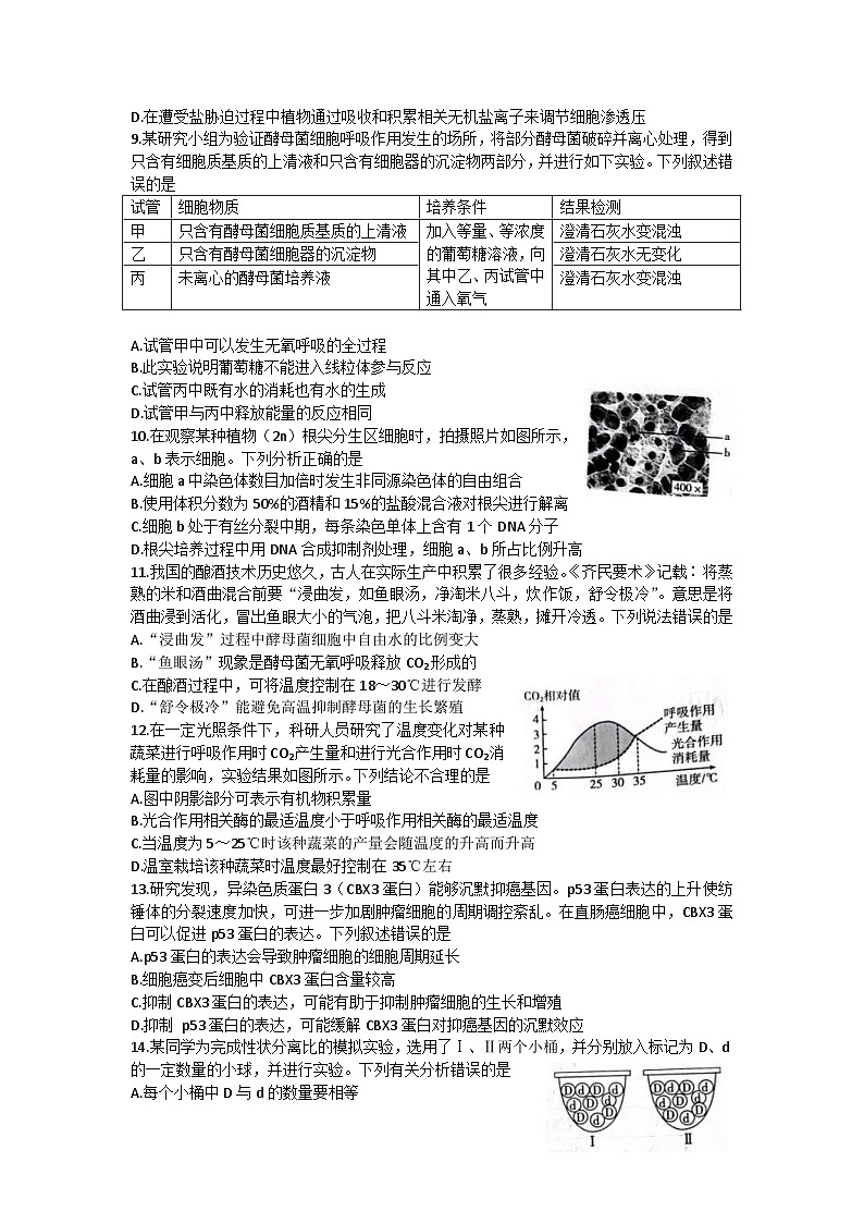 新高考生物模拟练习卷12（含答案）第3页