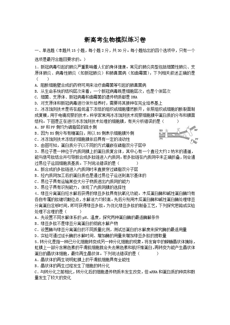 新高考生物模拟练习卷13（含答案）第1页