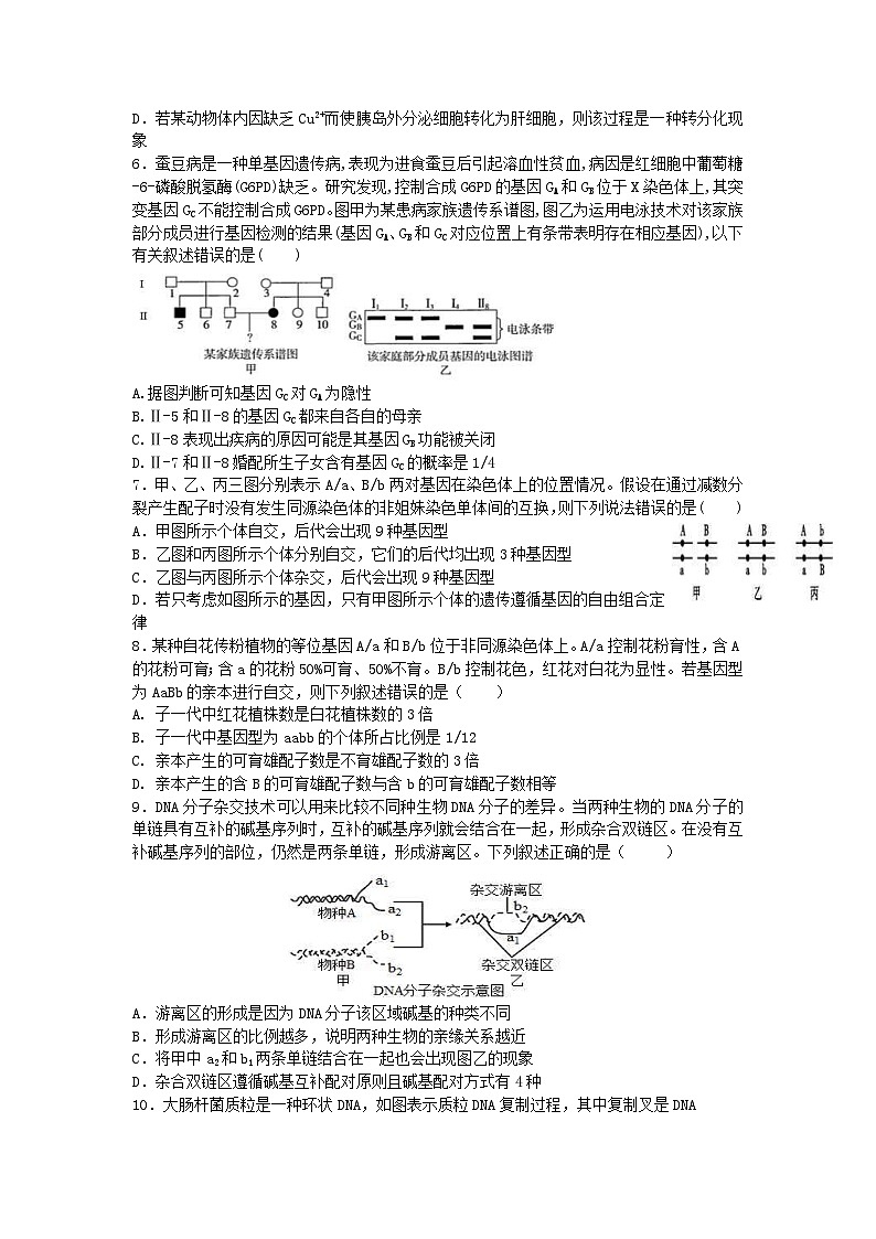 新高考生物模拟练习卷13（含答案）第2页