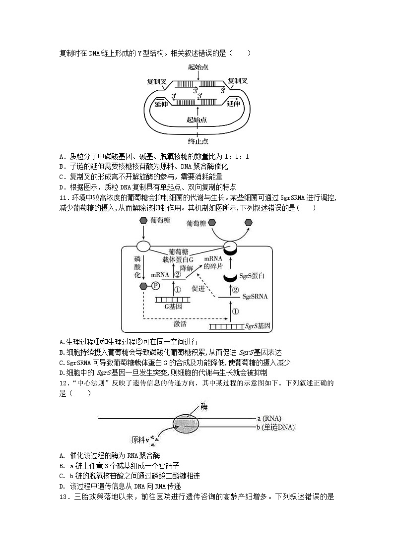 新高考生物模拟练习卷13（含答案）第3页
