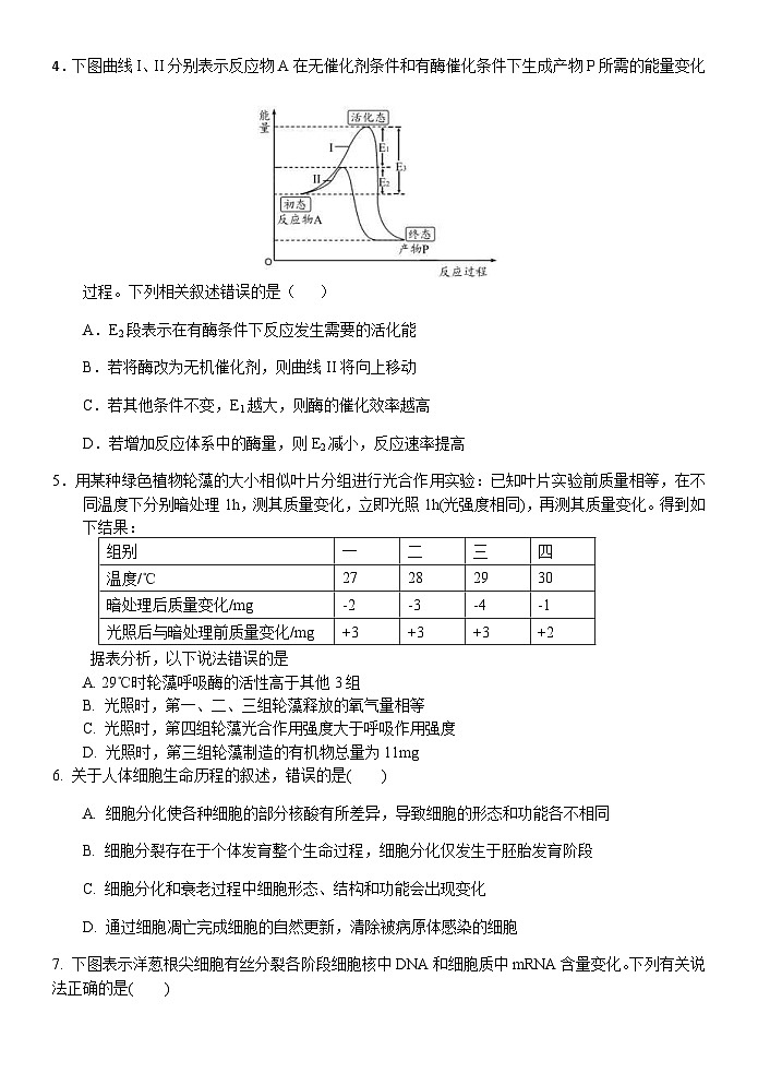 新高考生物模拟练习卷14（含答案）第2页