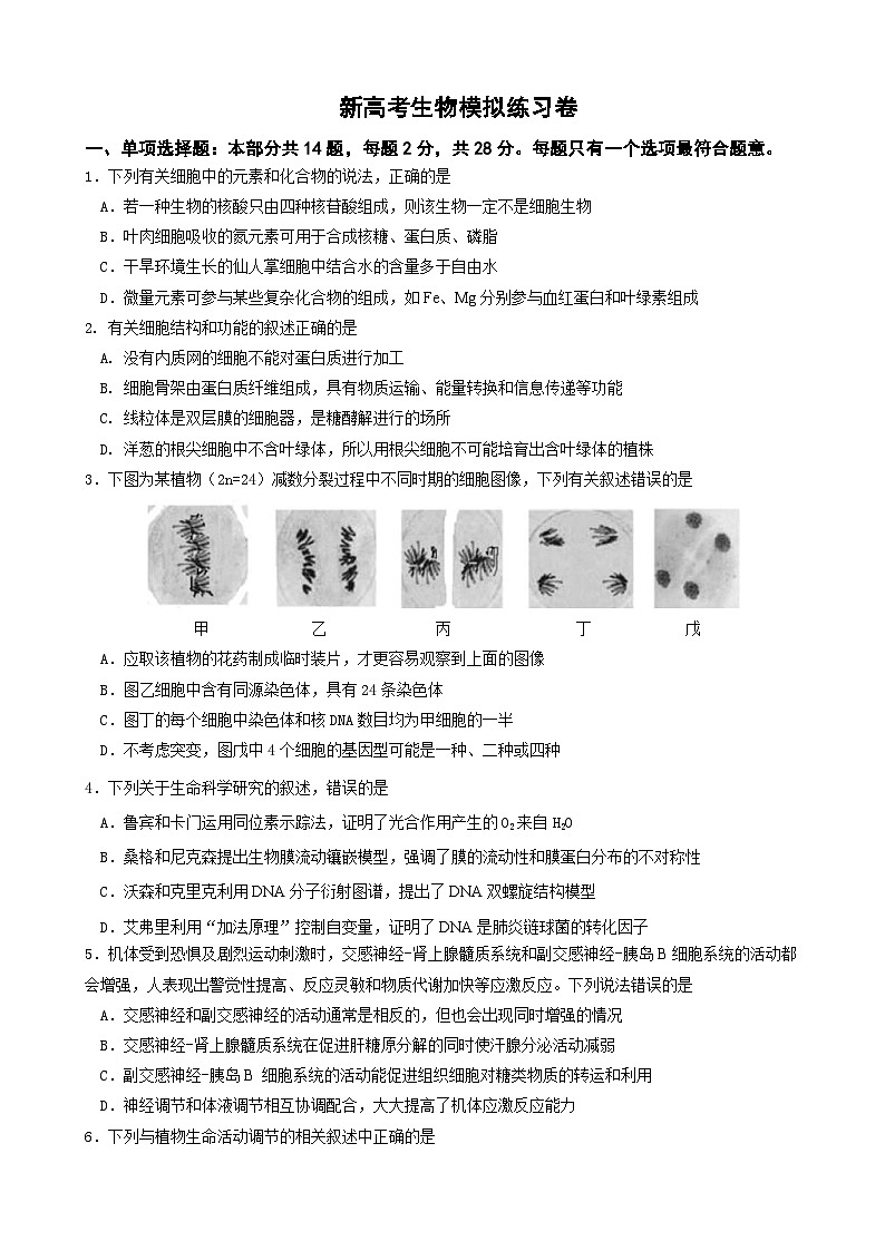 新高考生物模拟练习卷15（含答案）第1页