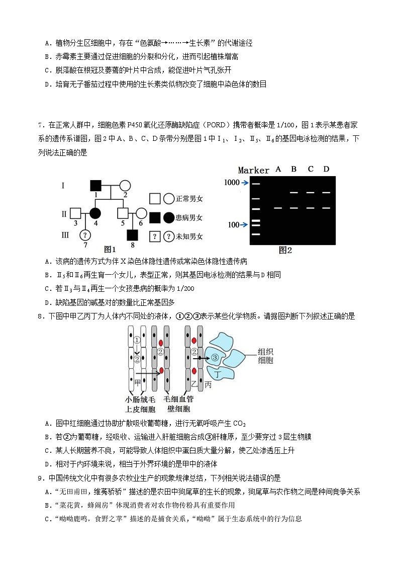 新高考生物模拟练习卷15（含答案）第2页