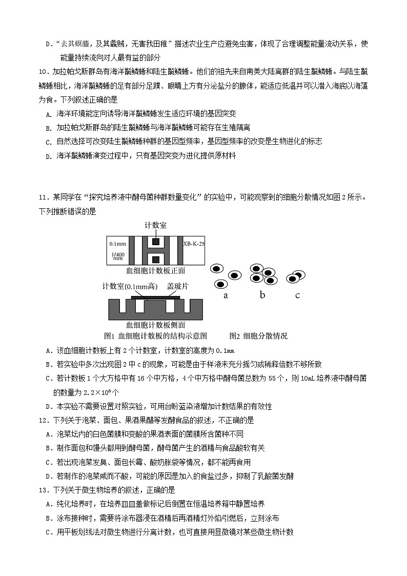 新高考生物模拟练习卷15（含答案）第3页