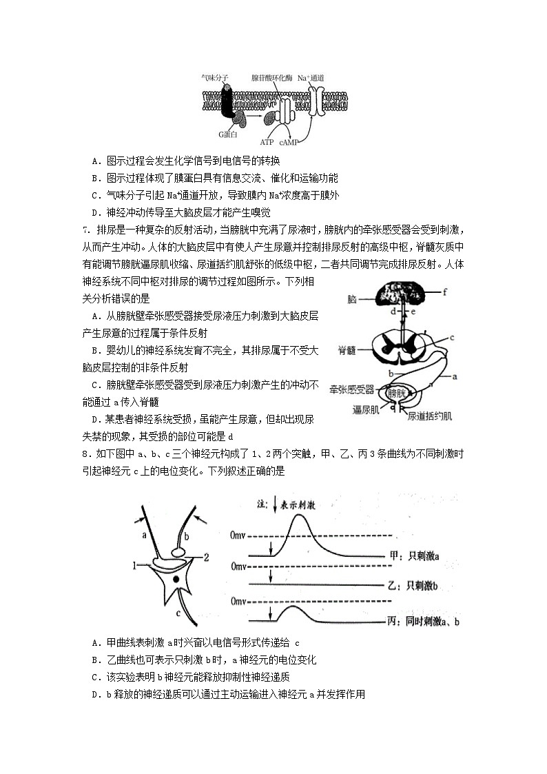新高考生物模拟练习卷16（含答案）第2页