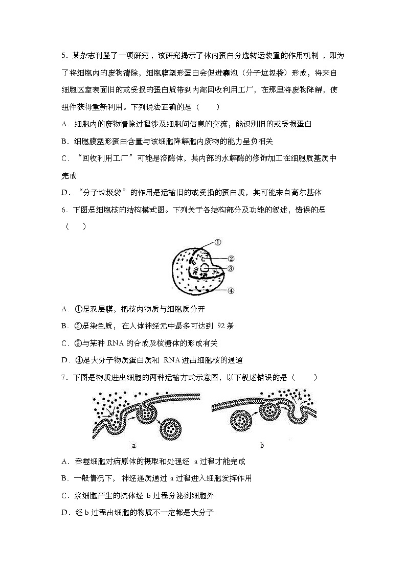 新高考生物模拟练习卷17（含答案）第2页