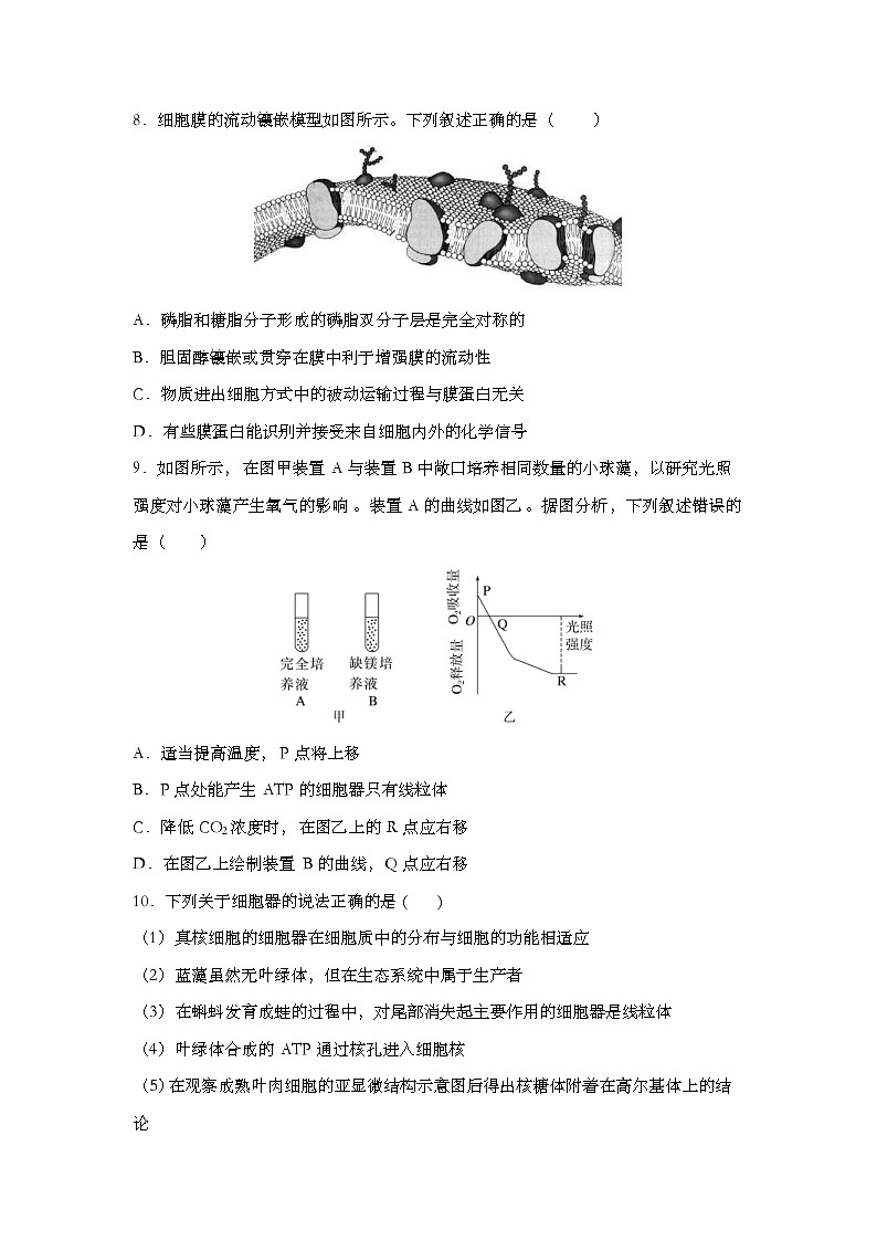 新高考生物模拟练习卷17（含答案）第3页