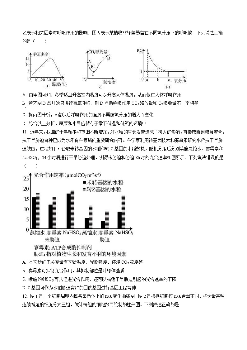 新高考生物模拟练习卷19（含答案）第3页