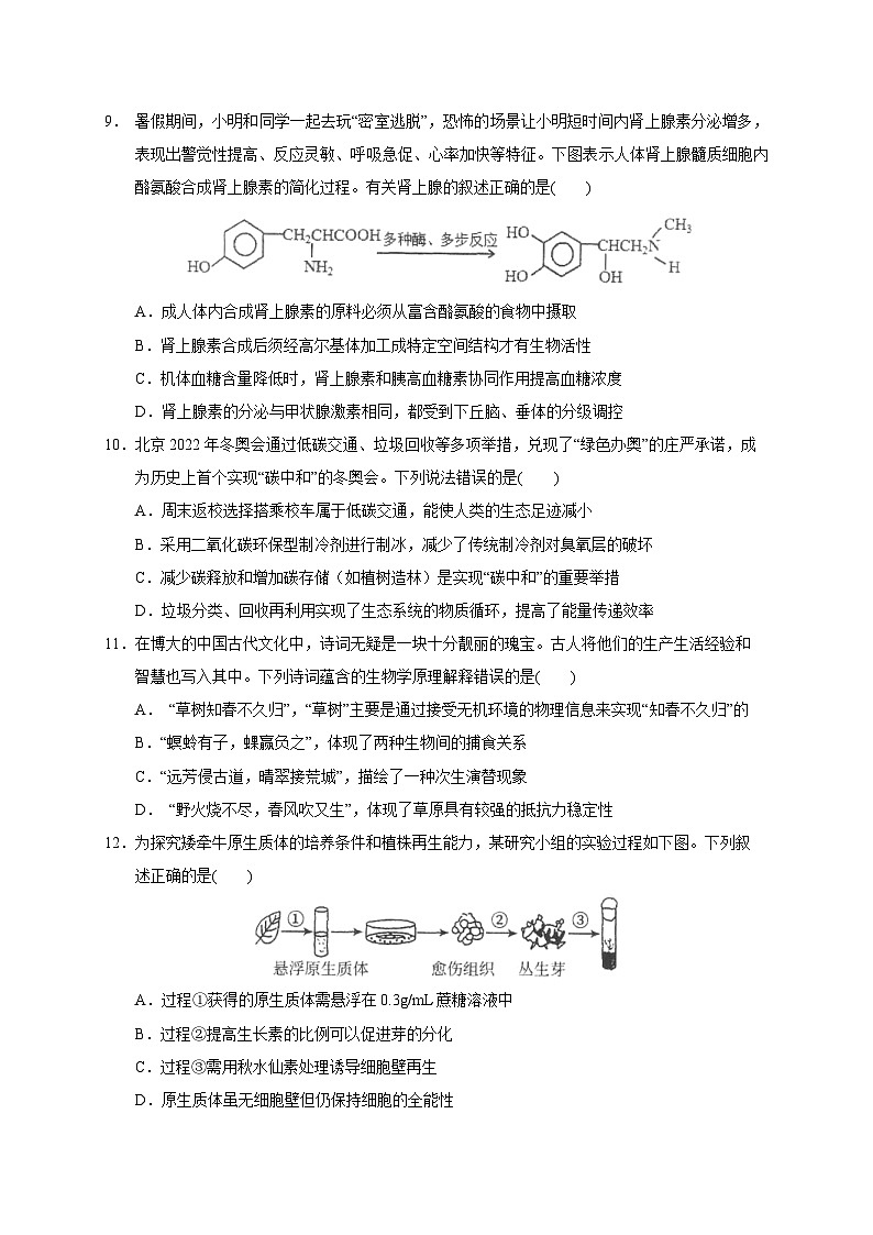新高考生物模拟练习卷21（含答案）第3页