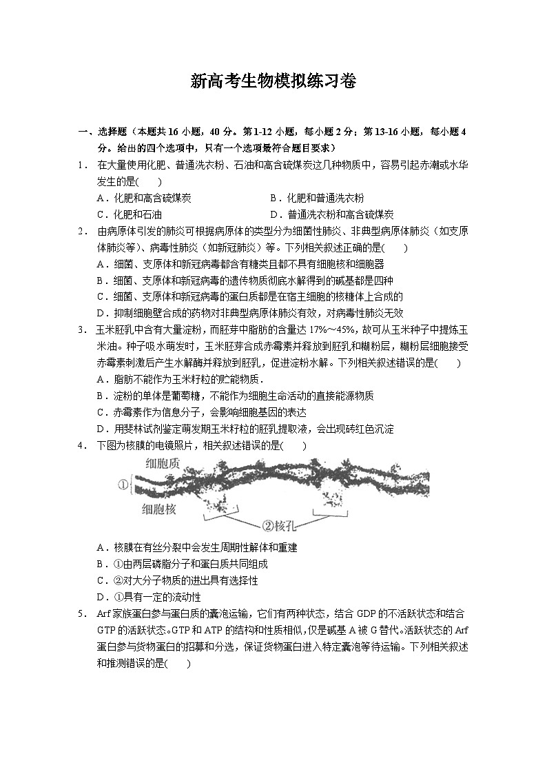 新高考生物模拟练习卷22（含答案）第1页
