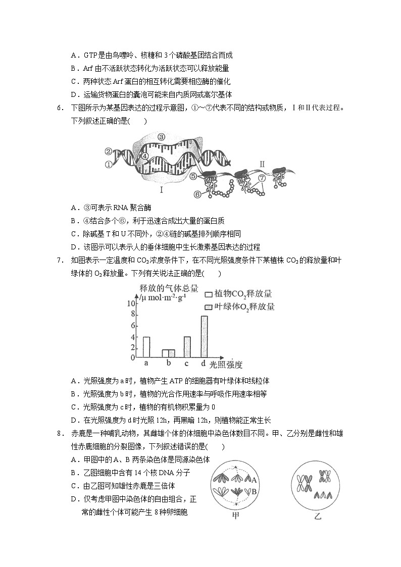 新高考生物模拟练习卷22（含答案）第2页
