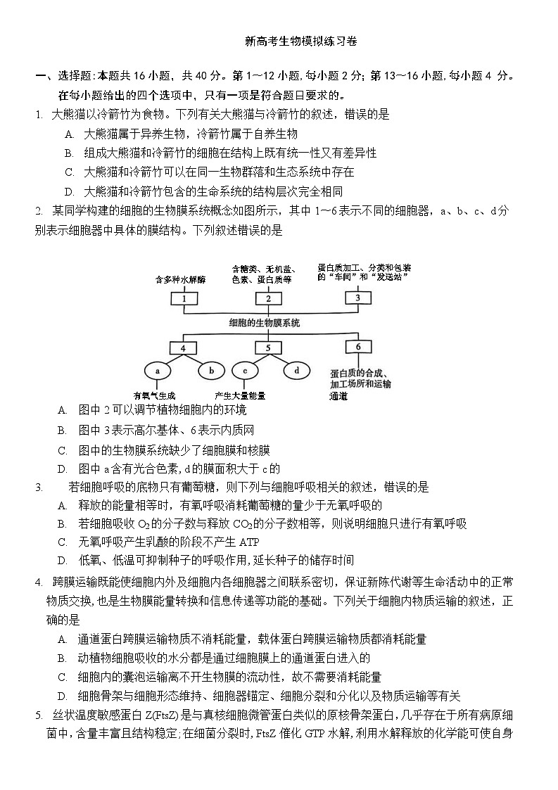 新高考生物模拟练习卷25（含答案）第1页