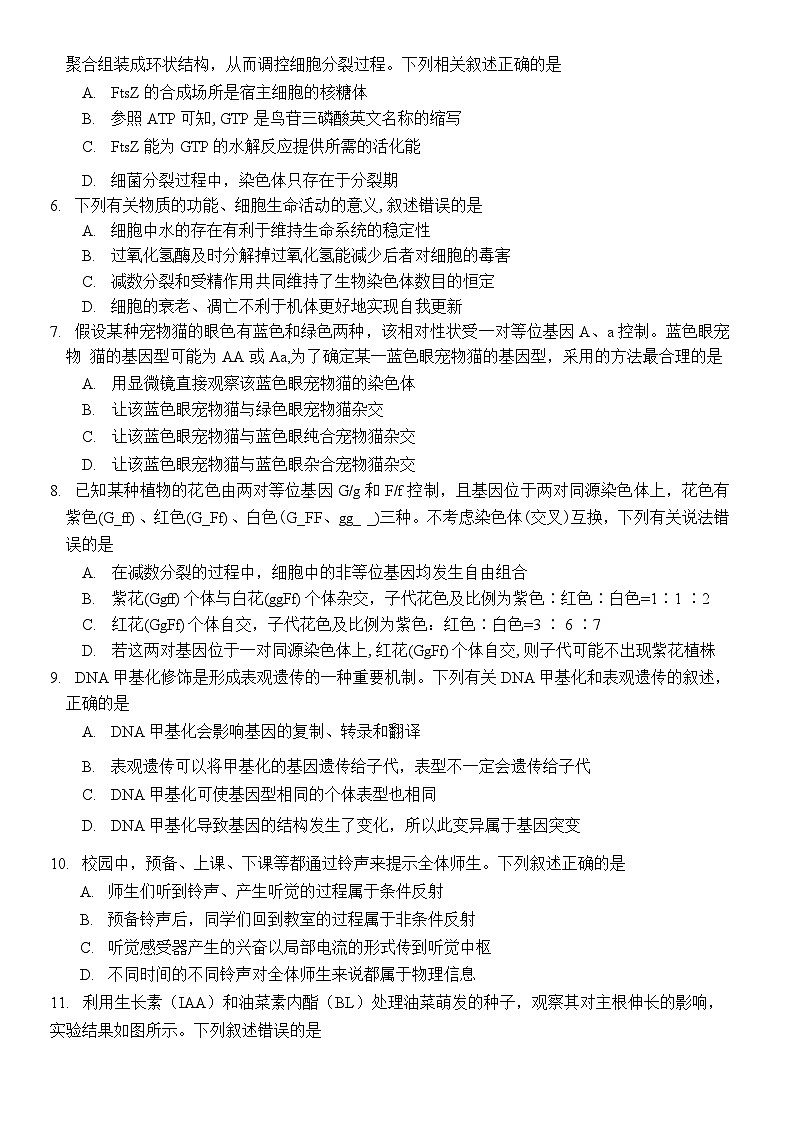 新高考生物模拟练习卷25（含答案）第2页