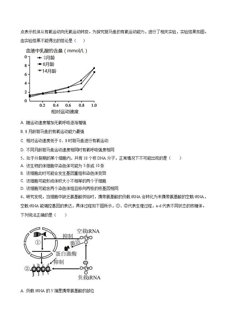 新高考生物模拟试卷02（原卷版+解析版）第2页