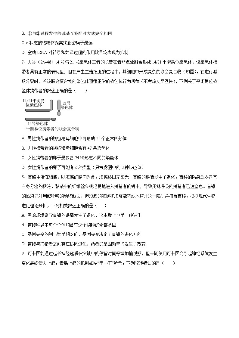 新高考生物模拟试卷02（原卷版+解析版）第3页