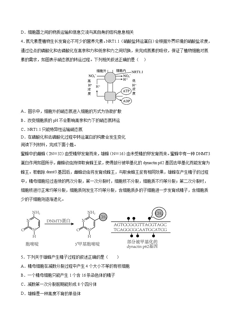 新高考生物模拟试卷05（原卷版+解析版）第2页
