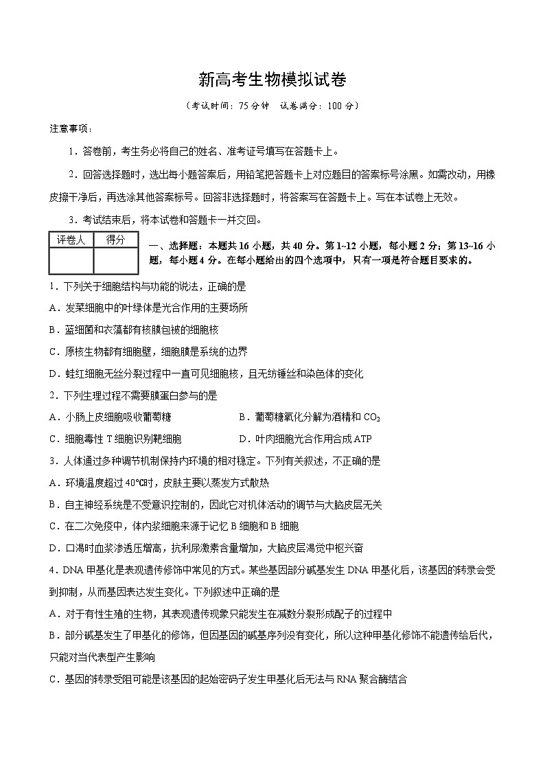 新高考生物模拟试卷06（原卷版+解析版）第1页