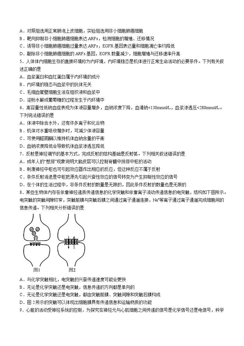 湖南省部分校2023-2024学年高二生物上学期10月联考试题（Word版附解析）第2页