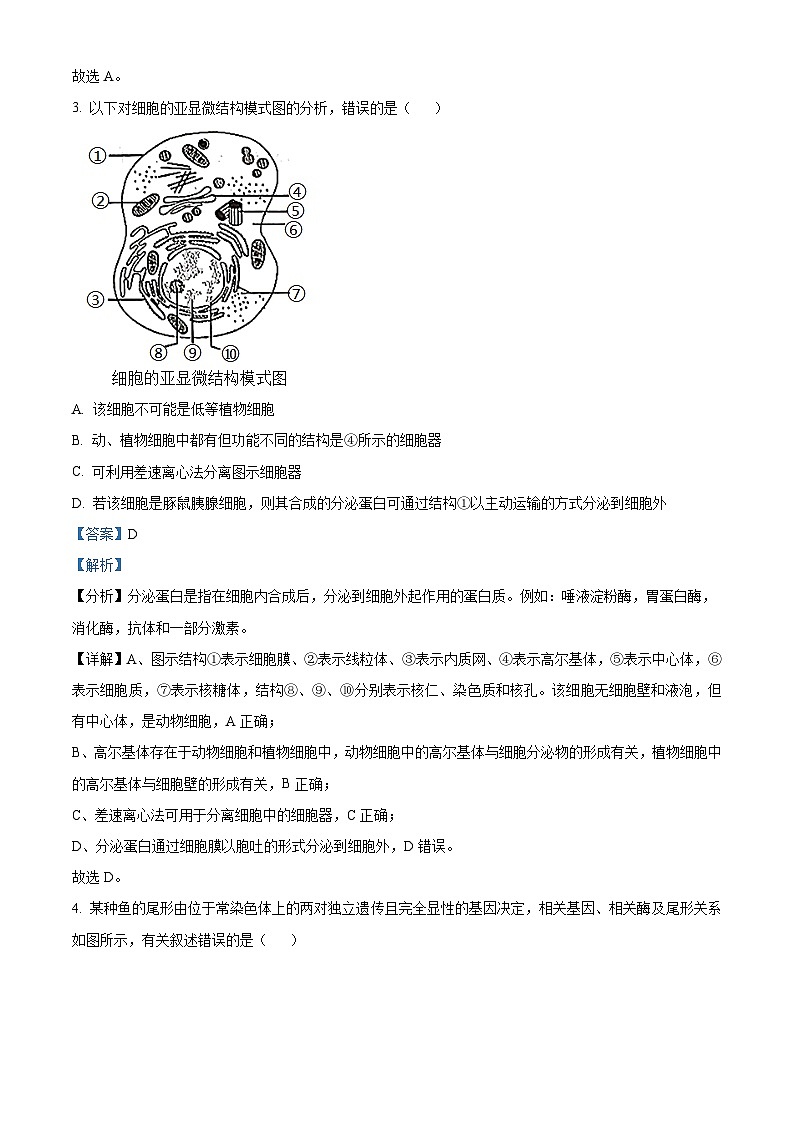 湖南省名校联考联合体2023-2024学年高二生物上学期第一次联考试题（Word版附解析）02