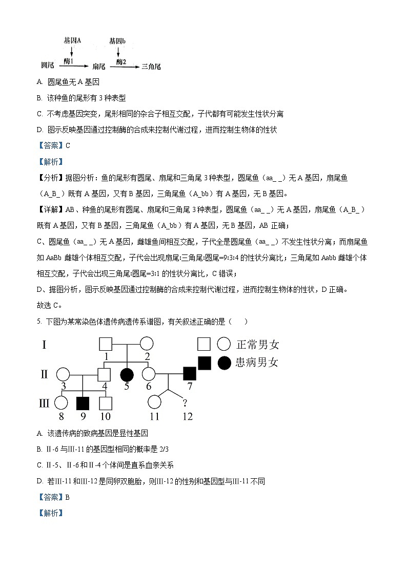 湖南省名校联考联合体2023-2024学年高二生物上学期第一次联考试题（Word版附解析）03