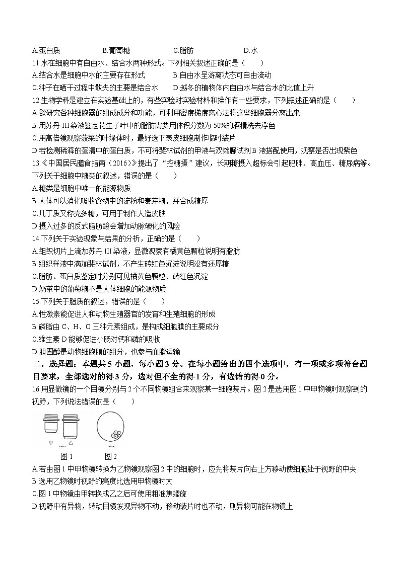 辽宁省朝阳市名校统考2023-2024学年高一生物上学期10月月考试题（Word版附答案）第3页