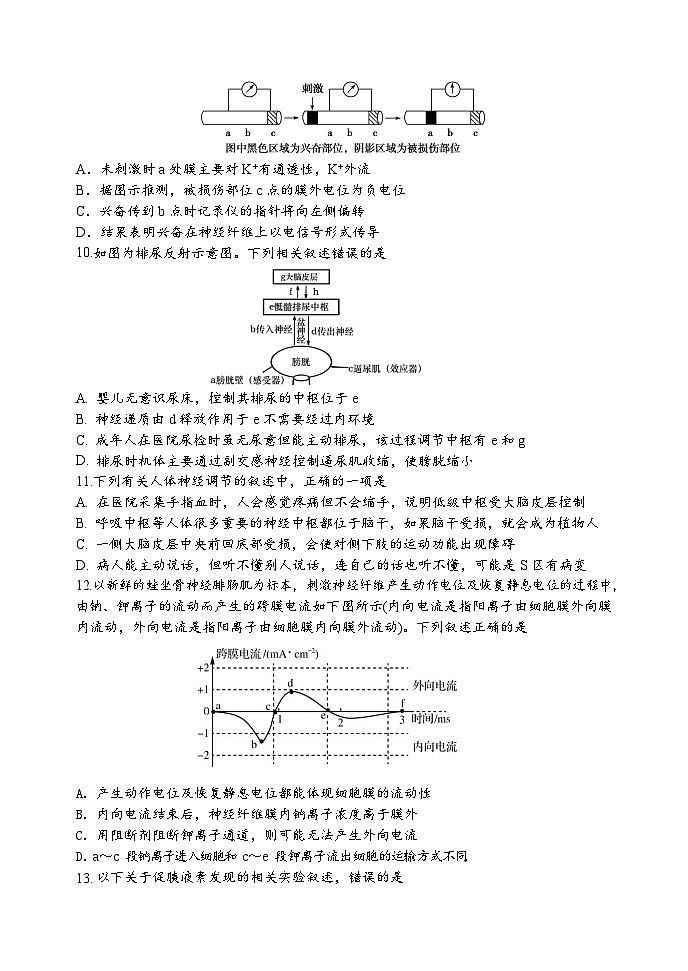 辽宁省辽东教学共同体2023-2024学年高二生物上学期10月月考试题（Word版附答案）第3页