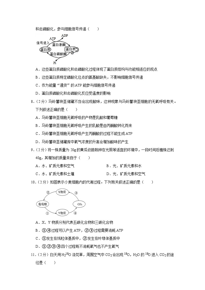 吉林省东北师范大学附属中学2022-2023学年高一上学期阶段考试生物试题（月考）第3页