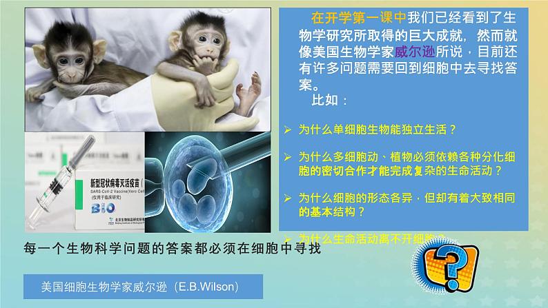 新教材2023年秋高中生物1.1细胞是生命活动的基本单位课件新人教版必修1第2页