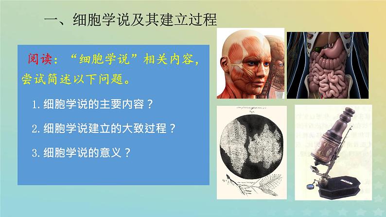 新教材2023年秋高中生物1.1细胞是生命活动的基本单位课件新人教版必修1第6页