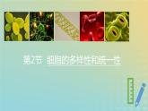新教材2023年秋高中生物1.2.1细胞的多样性和统一性课件新人教版必修1