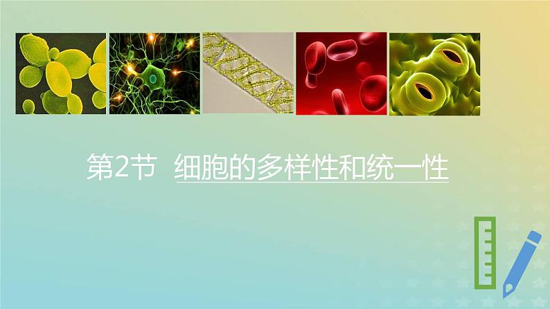 新教材2023年秋高中生物1.2.1细胞的多样性和统一性课件新人教版必修101