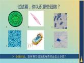 新教材2023年秋高中生物1.2.1细胞的多样性和统一性课件新人教版必修1