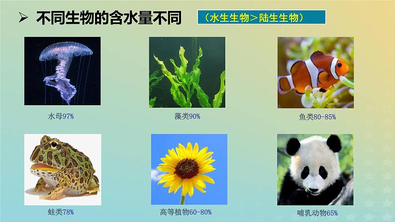 新教材2023年秋高中生物2.2细胞中的无机物课件新人教版必修1第4页