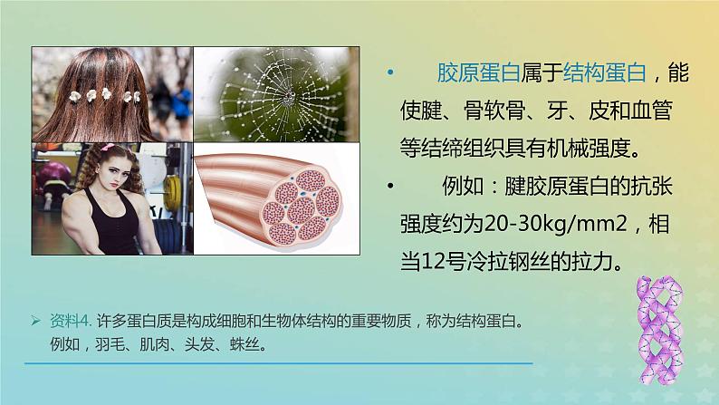 新教材2023年秋高中生物2.4蛋白质是生命活动的主要承担者课件新人教版必修1第4页