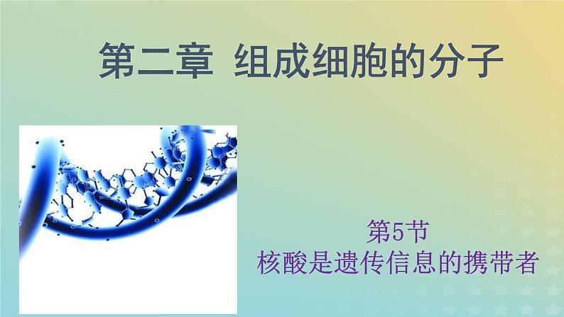 新教材2023年秋高中生物2.5核酸是遗传信息的携带者课件新人教版必修101