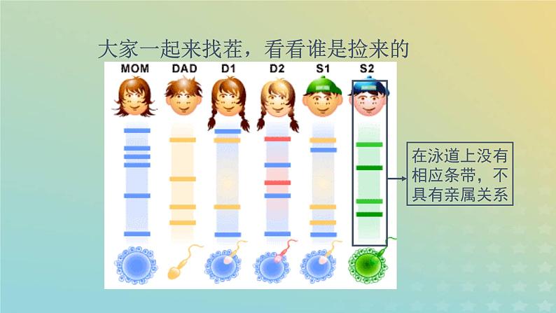 新教材2023年秋高中生物2.5核酸是遗传信息的携带者课件新人教版必修104