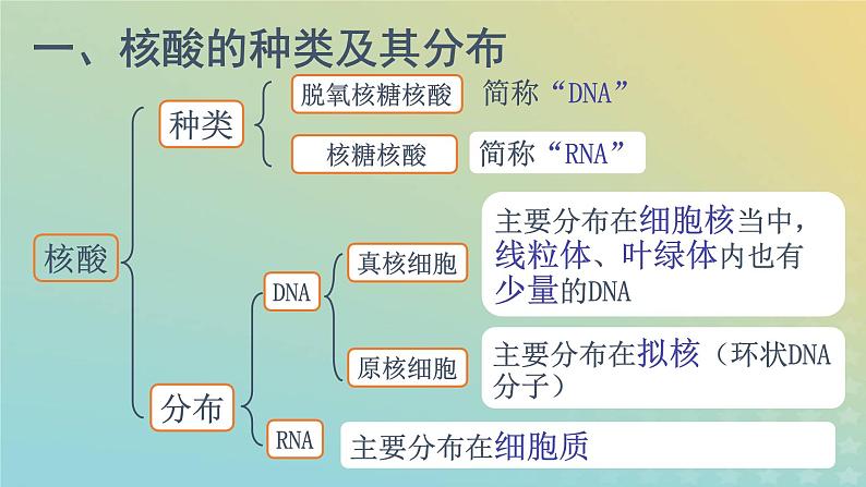 新教材2023年秋高中生物2.5核酸是遗传信息的携带者课件新人教版必修105