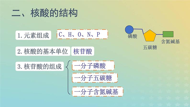 新教材2023年秋高中生物2.5核酸是遗传信息的携带者课件新人教版必修106