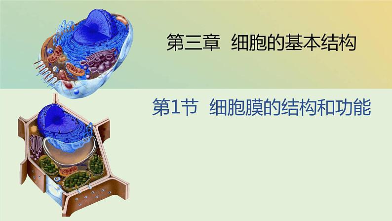 新教材2023年秋高中生物3.1细胞膜的结构和功能课件新人教版必修1第1页