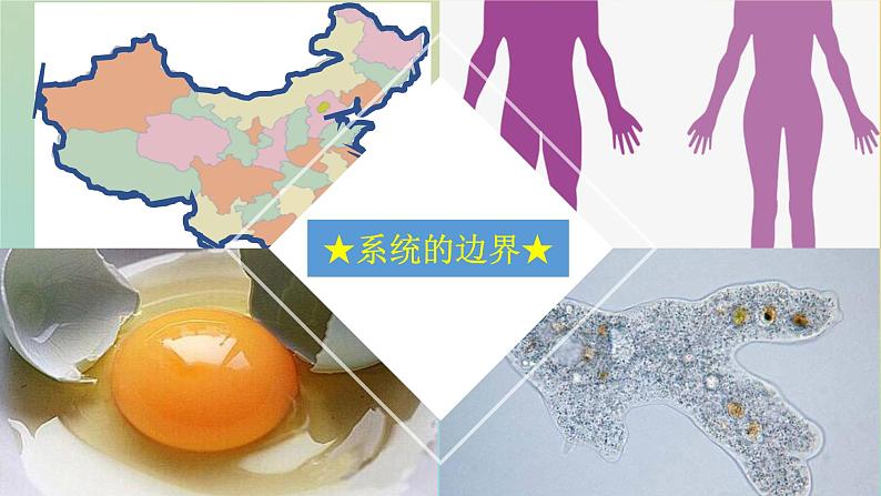 新教材2023年秋高中生物3.1细胞膜的结构和功能课件新人教版必修1第2页