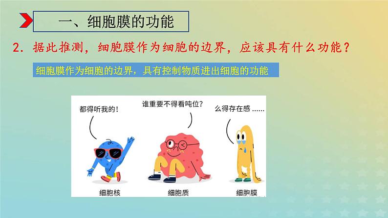 新教材2023年秋高中生物3.1细胞膜的结构和功能课件新人教版必修1第4页
