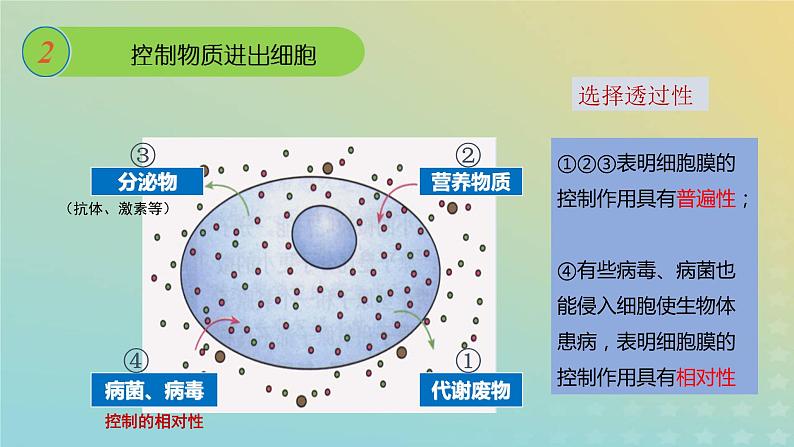 新教材2023年秋高中生物3.1细胞膜的结构和功能课件新人教版必修1第6页