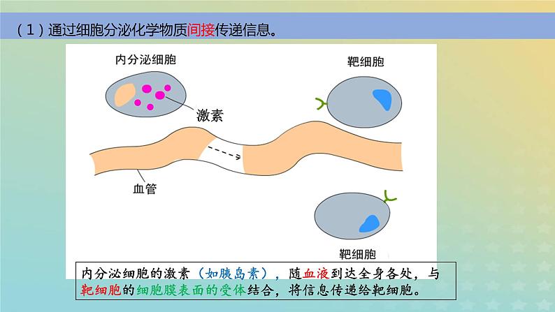 新教材2023年秋高中生物3.1细胞膜的结构和功能课件新人教版必修1第8页
