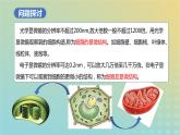 新教材2023年秋高中生物3.2细胞器之间的分工合作课件新人教版必修1