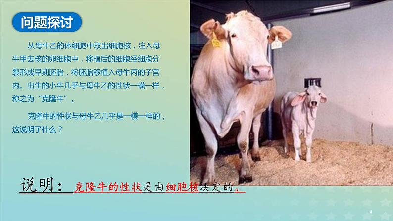 新教材2023年秋高中生物3.3细胞核的结构和功能课件新人教版必修102