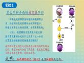 新教材2023年秋高中生物3.3细胞核的结构和功能课件新人教版必修1