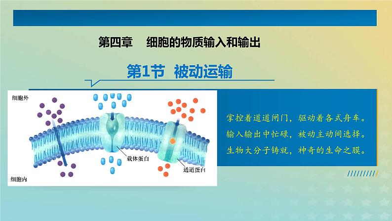 新教材2023年秋高中生物4.1被动运输课件新人教版必修1第1页