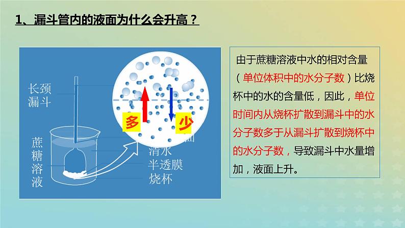 新教材2023年秋高中生物4.1被动运输课件新人教版必修1第4页