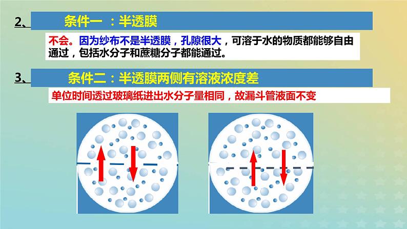 新教材2023年秋高中生物4.1被动运输课件新人教版必修1第5页