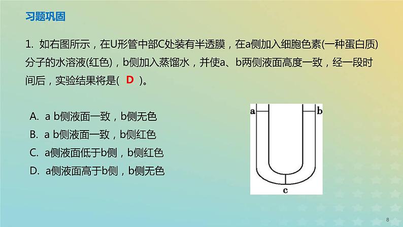 新教材2023年秋高中生物4.1被动运输课件新人教版必修1第8页